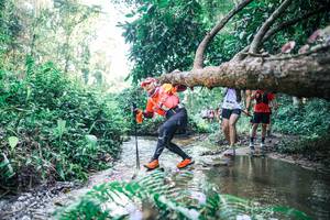 BIB: 
                            <button type="button" onclick="openModal(25443576)" class="btn btn-primary btn-sm float-right btn-popup" data-toggle="modal" data-target=".modal-high-quality">
                        <i class="fas fa-shopping-cart"></i> Add to Cart
                    </button>
                                            <button type="button" onclick="isThisMe(25443576, true)" class="btn btn-success btn-sm float-right btn-popup btn-isme hidden" data-toggle="tooltip" data-placement="bottom" title="นี่คือรูปของคุณใช่ไหม คลิกที่นี่เพื่อเอาเข้าอัลบั้ม">
                        <i class="fas fa-plus"></i> Add to album
                    </button>
                    <button type="button" onclick="isThisMe(25443576, false)" class="btn btn-warning btn-sm float-right btn-popup btn-isnotme hidden">
                        <i class="fas fa-ban"></i> Remove from album
                    </button>